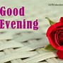 Image result for Evening Perfect Rose