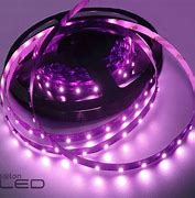 Image result for Purple LED Light Screen