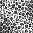 Image result for Snow Leopard Print