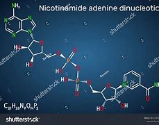 Image result for Nad Chemical Structure