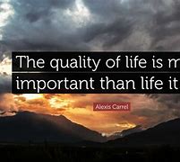 Image result for Quality of Life Quotes