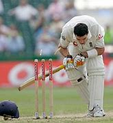 Image result for Cricket Hit Wicket
