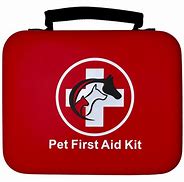 Image result for Veterinary CPR Kit