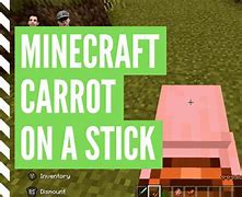 Image result for How to Make Carrot On a Stick Minecraft