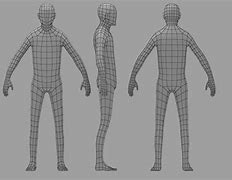 Image result for Blank Human 3D Model