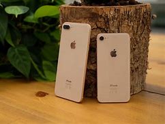 Image result for Mtbacon iPhone 8 Plus