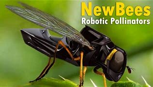 Image result for Robot Pollinators