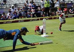 Image result for Mini Cricket Kid's