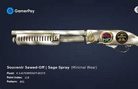Image result for Sawed-Off Sage Spray