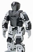 Image result for Humanoid Robot for Adult