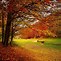 Image result for 1280X720 Free Autumn Wallpaper Background