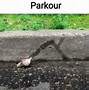 Image result for Snail Parkour Meme