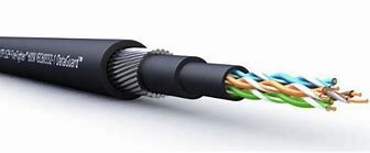 Image result for Cat5e Armoured Cable