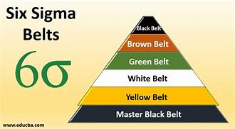Image result for Six Sigma Belts
