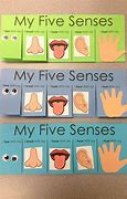 Image result for 5B Senses Pictures for Kids
