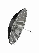 Image result for Silver Reflective Umbrella