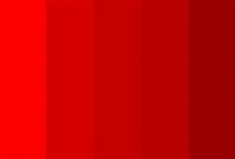 Image result for Bright Red Shades