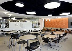 Image result for Gizmo Griffin Grossmont College