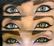 Image result for Cat Eye Contact Lenses