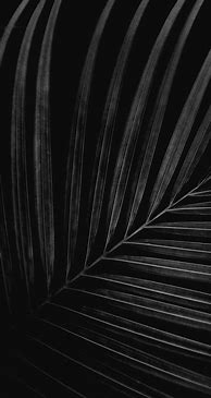 Image result for iPhone X Wallpaper HD Black and White