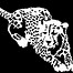 Image result for Cheetah Print Grizzlies SVG