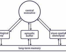 Image result for Working Memory Model Diagram