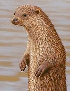 Image result for Otter Painting