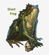 Image result for Giant Frog 5E
