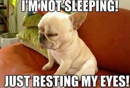 Image result for Internet Meme Sleepy