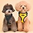 Image result for Measure Dog for Harness