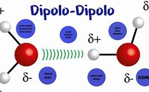 Image result for dipolo