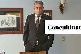 Image result for concubio