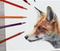 Image result for Colored Pencil Fox