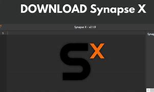 Image result for Synapse X
