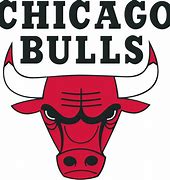 Image result for Chicago Bulls Court