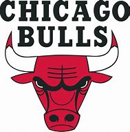 Image result for Chicago Bulls 90s