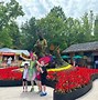 Image result for dolly partons dollywood
