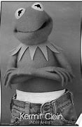 Image result for Funny Kermit Thr Frog Memes