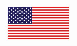 Image result for Mini US Flag Icon