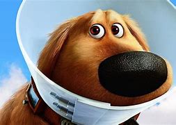 Image result for Dug From Up Coffee