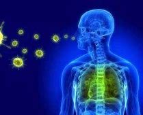 Image result for infecciiso