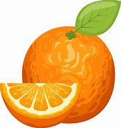 Image result for Orange Fruit Vector Clip Art