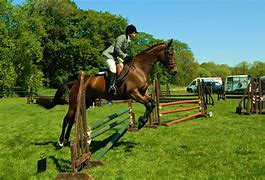 Image result for Horse World Show Jumping