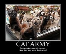 Image result for Cat Army Memes
