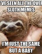 Image result for Sloth Meme HR Joke