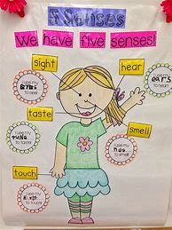 Image result for 5 Senese's Anchor Chart