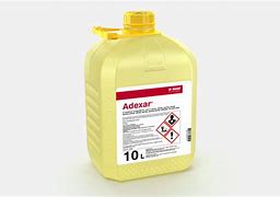 Image result for adexuar