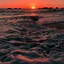 Image result for Beach Sunset Phone Wallpaper