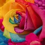 Image result for Beautiful 3D Flowers in Rainbow