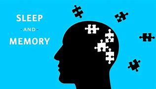 Image result for Sleep and Memory Study